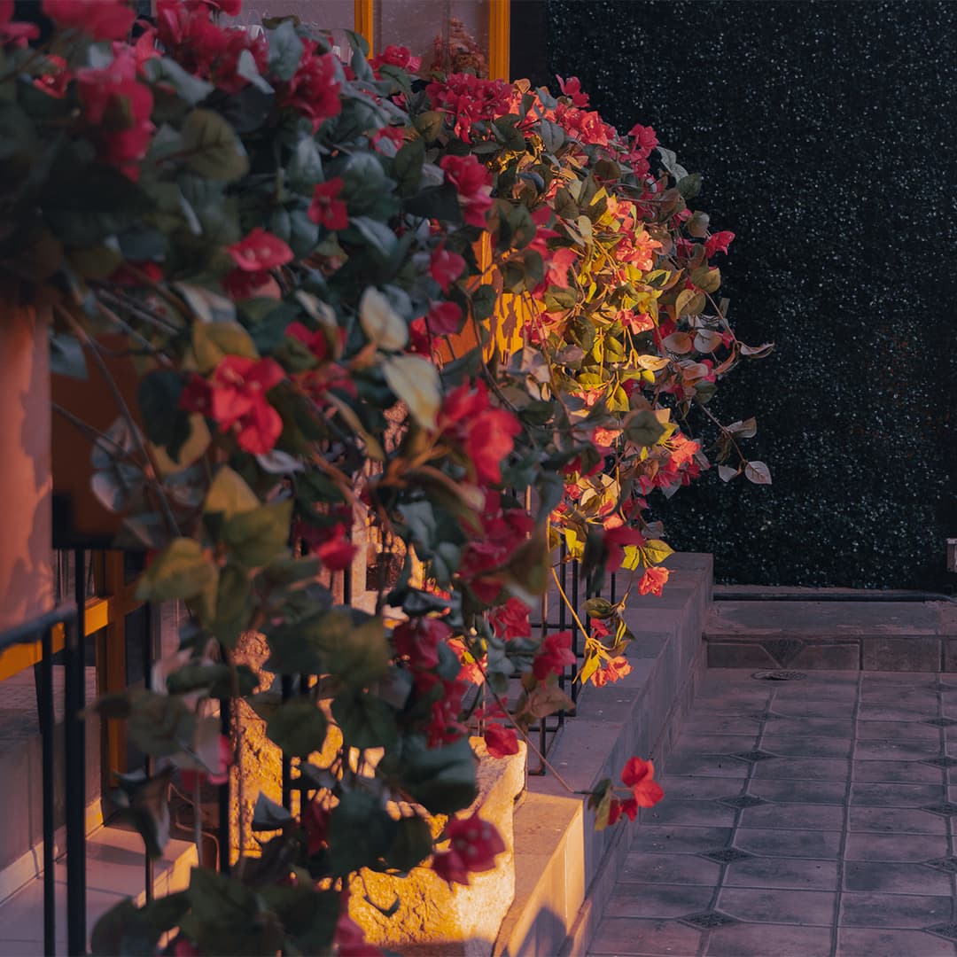 Quiet Coffee Moments